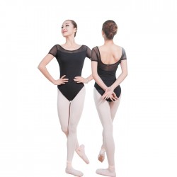 B100627    Women Leotards