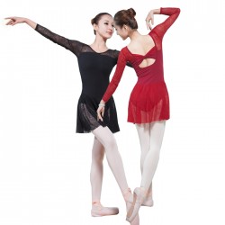 B110096    Women Leotards