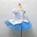 Zs00001    Child ballet Tutu