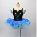 Zs00001    Child ballet Tutu