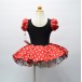 Zs00006    Child ballet Tutu