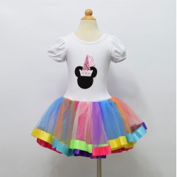 Zs00009    Child ballet Tutu