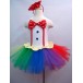 Zs00012    Child ballet Tutu