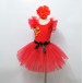 Zs00012    Child ballet Tutu