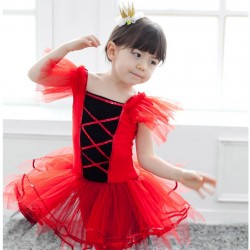 Zs00016    Child ballet Tutu