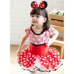 Zs00037    Child ballet Tutu