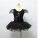 Zs00054    Child ballet Tutu