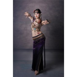 Be00024   Belly Dance Costume Adult