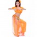 Be00024   Belly Dance Costume Adult