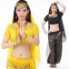 Be00024   Belly Dance Costume Adult