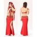Be00054   Belly Dance Costume Adult