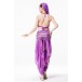 Be00056   Belly Dance Costume Adult