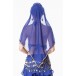 Be00057   Belly Dance Costume Adult