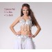 Be00095   Belly Dance Costume Adult