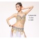 Be00064   Belly Dance Costume Adult