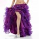 Be00166    Belly Dance Skirt