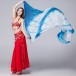 Be00186    Belly Dance veil