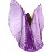 Be00190    Belly Dance wings -Non-split