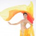 Be00196    Belly Dance veil