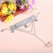 Be00248    Belly Dance Accessories